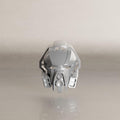 G2 Kanohi Aki | Akamai's Mask, Silver, G2 Compatible